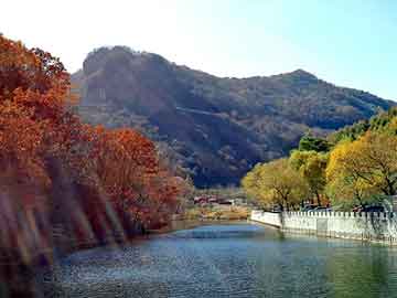 澳门天天开奖免费资料，深圳市屏风